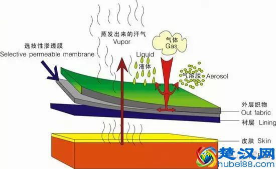 滑雪服为毛那么贵?单板滑雪装备 单板滑雪穿搭