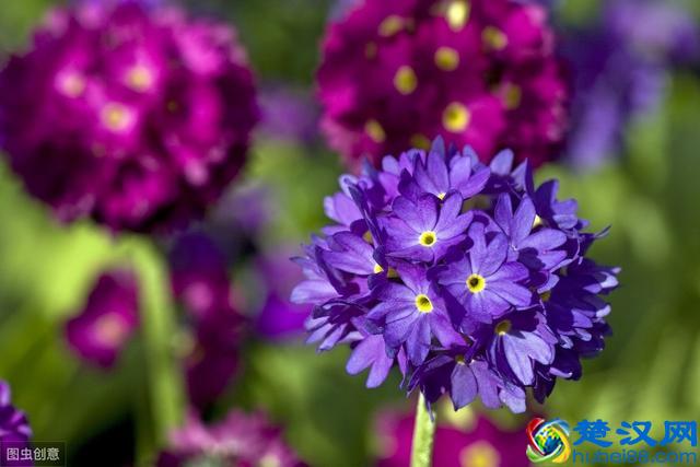 419是什么意思？哎呀，怎么有点害羞呀！