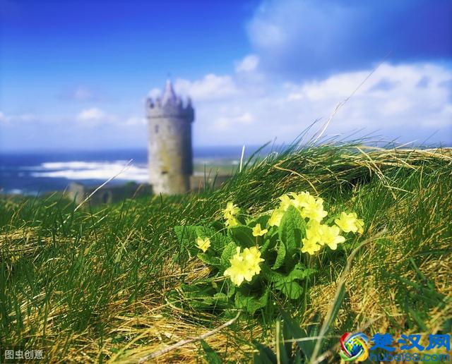 419是什么意思？哎呀，怎么有点害羞呀！