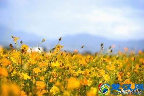 爱迪生经典美句语录精选