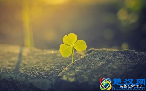 爱迪生经典美句语录精选