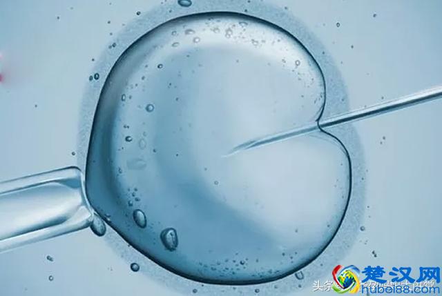 怀孕十天初期症状就有这些 赶快来看看吧！