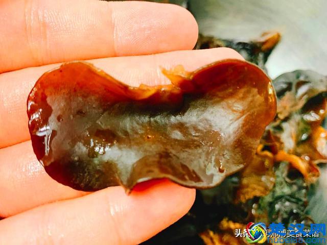 泡黑木耳时，只加水是大错特错！加点它，保证脏东西自动跑出来