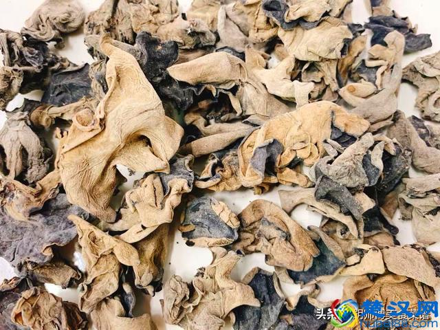 泡黑木耳时，只加水是大错特错！加点它，保证脏东西自动跑出来
