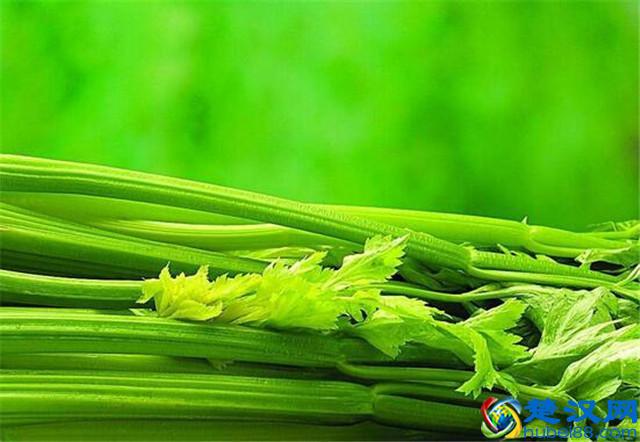 1-10月孕妇食谱，准爸准妈赶快收藏起来