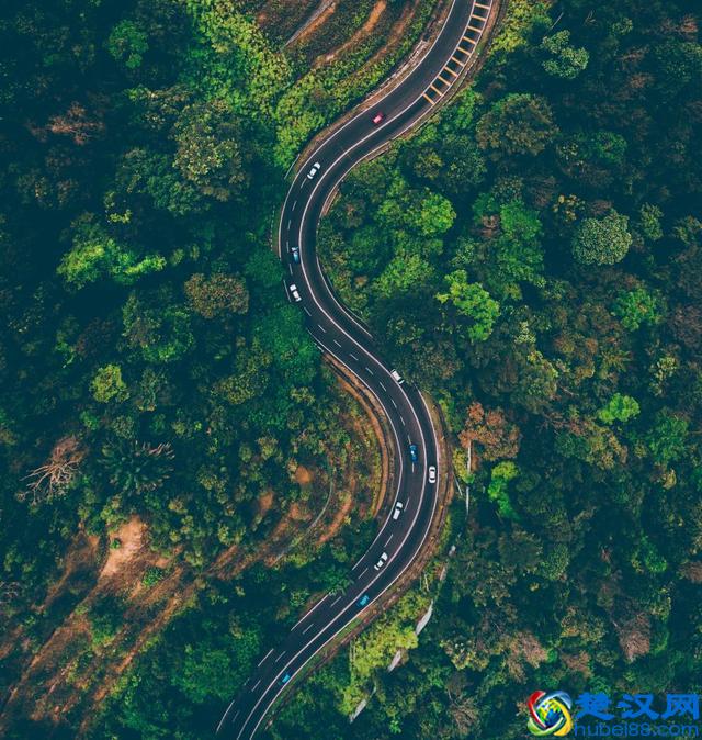 写作积累｜风吹雨打，动摇不了的是毅力——关于毅力的名言事例