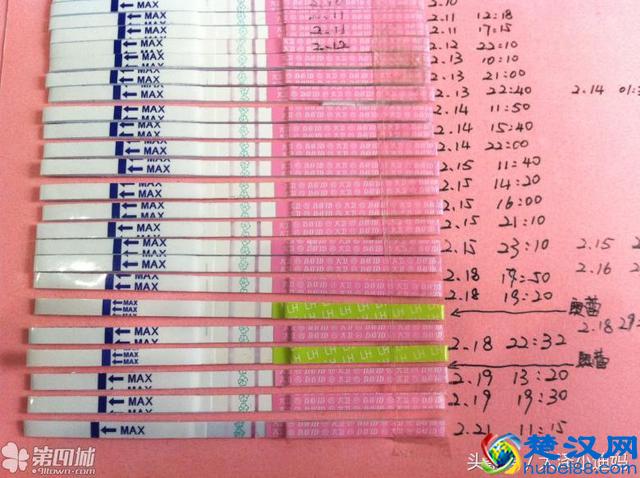 排卵期计算器在线查询,助你轻松受孕