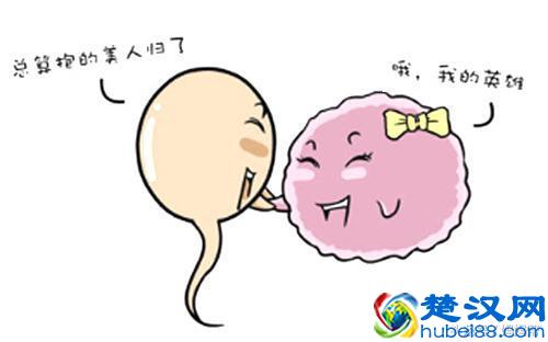 我怀孕初期的症状：出现这些症状别怀疑，妥妥是怀啦！