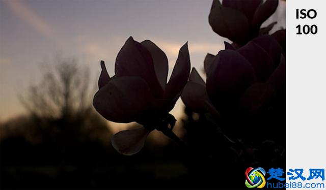 不懂ISO？通过4步骤告诉你什么是ISO