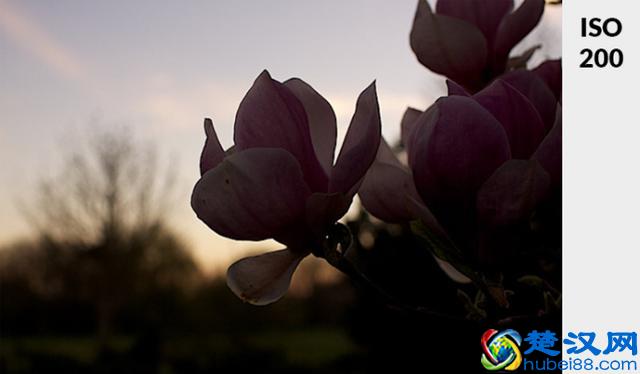 不懂ISO？通过4步骤告诉你什么是ISO