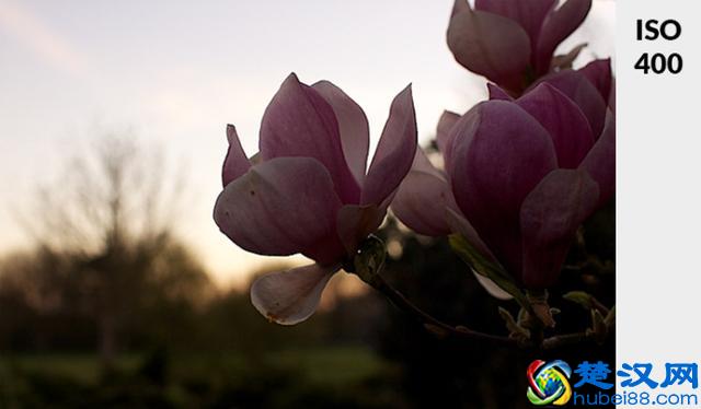 不懂ISO？通过4步骤告诉你什么是ISO