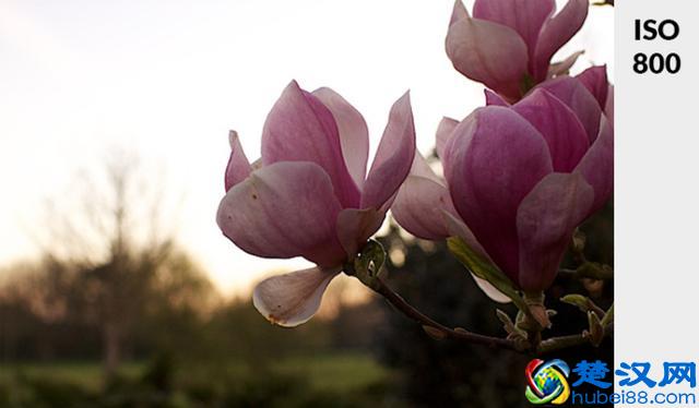 不懂ISO？通过4步骤告诉你什么是ISO