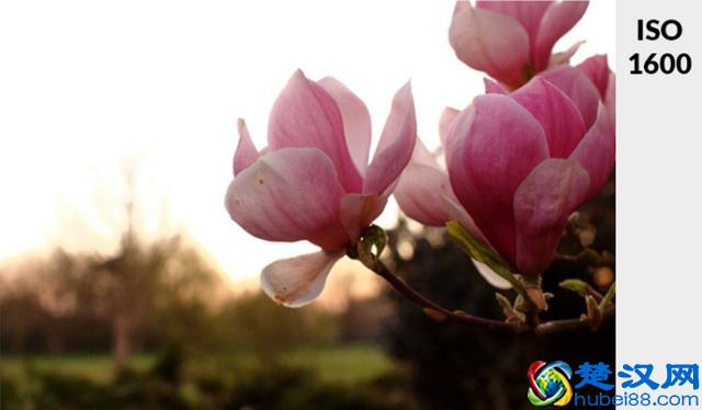 不懂ISO？通过4步骤告诉你什么是ISO