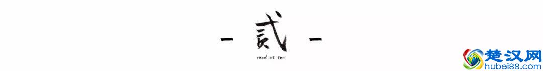 什么是释怀，这是我听过最美的答案