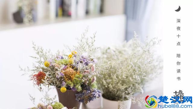 什么是释怀，这是我听过最美的答案