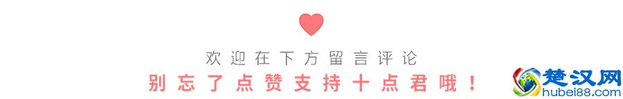 什么是释怀，这是我听过最美的答案