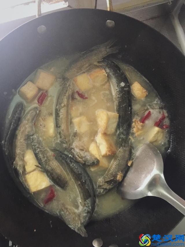 泥鳅怎么做最好吃？圆子带你挑泥鳅，这19款泥鳅做法学到就赚到！