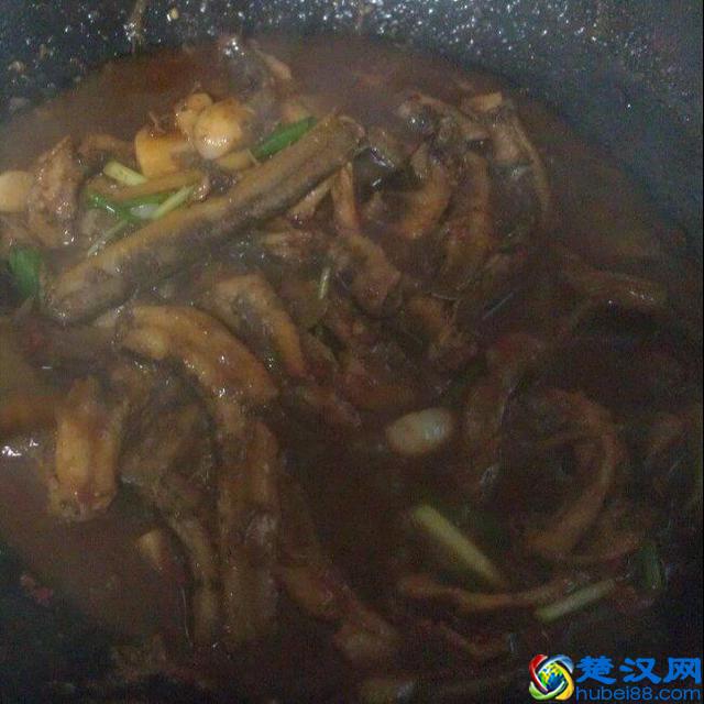 泥鳅怎么做最好吃？圆子带你挑泥鳅，这19款泥鳅做法学到就赚到！