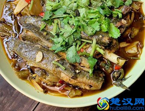 泥鳅怎么做最好吃？圆子带你挑泥鳅，这19款泥鳅做法学到就赚到！