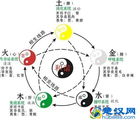 详细分析：生日时辰五行算命查询表，算算你的五行！