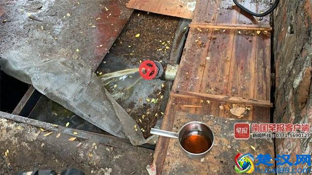 恶心！南宁一"地沟油"提炼点被查 动物内脏不停翻滚着，大量苍蝇爬在炼油废料上