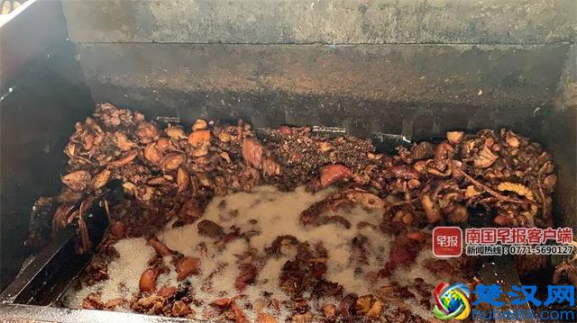 恶心！南宁一"地沟油"提炼点被查 动物内脏不停翻滚着，大量苍蝇爬在炼油废料上