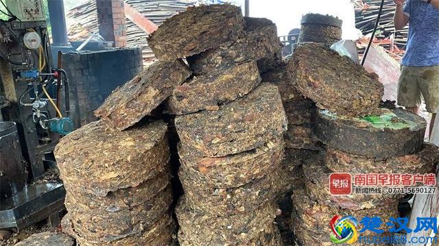 恶心！南宁一"地沟油"提炼点被查 动物内脏不停翻滚着，大量苍蝇爬在炼油废料上