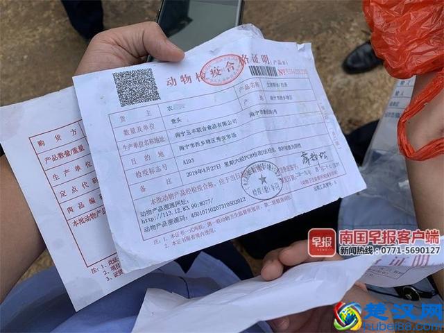 恶心！南宁一"地沟油"提炼点被查 动物内脏不停翻滚着，大量苍蝇爬在炼油废料上