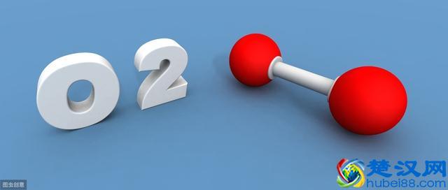 制氧机这么多，选择哪个牌子才好