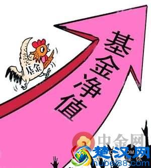 基金净值是什么意思