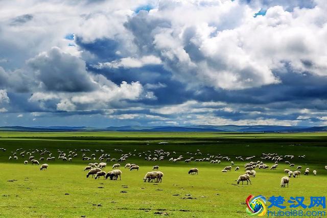 世界陆地面积最大的市级行政区，面积堪比一个国家却鲜为人知