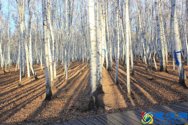 世界陆地面积最大的市级行政区，面积堪比一个国家却鲜为人知