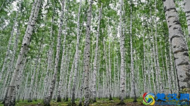 世界陆地面积最大的市级行政区，面积堪比一个国家却鲜为人知
