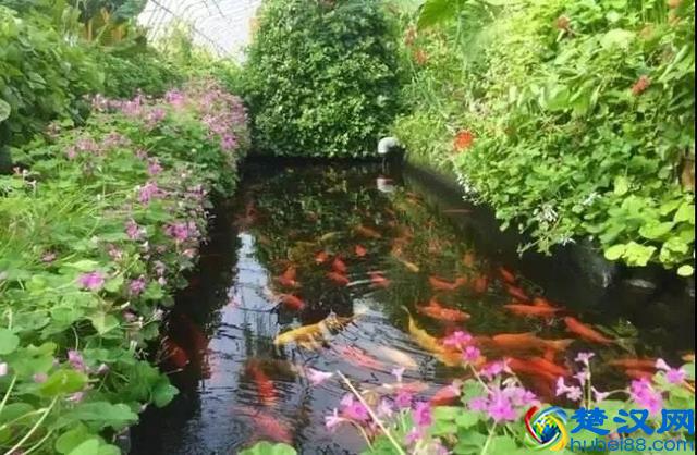 令人震撼的现代农业