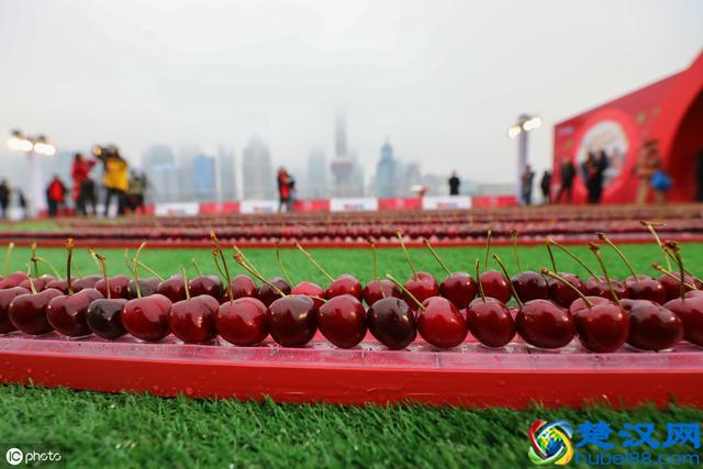 买东西不免税，为什么还要抢着设自贸区，看完终于懂了