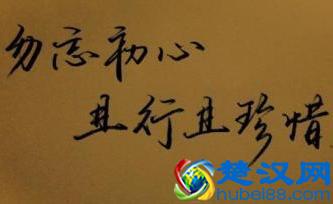 且行且珍惜前一句是什么？出自哪里？