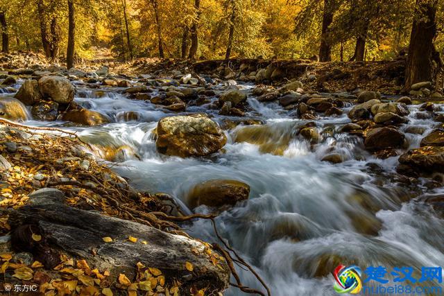 日新月异，人生百变，识时务者为俊杰