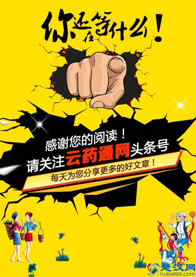 几种早餐粥、养生粥、养胃粥的做法大全，收藏以后用