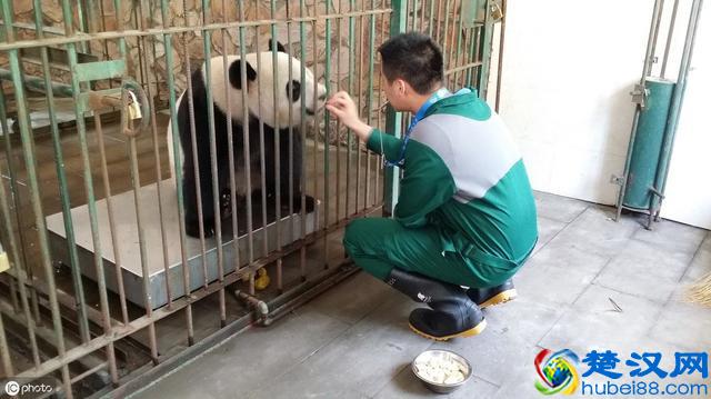 应届生面试有诀窍，掌握2个原则，没有工作经历，也让HR刮目相看
