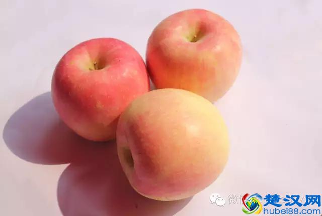 十人九痔 痔疮久拖不治 到底会有哪些危害呢