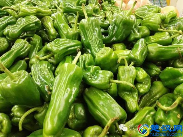 十人九痔 痔疮久拖不治 到底会有哪些危害呢