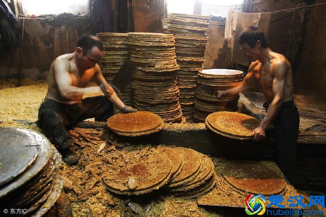 魂牵梦绕故乡人