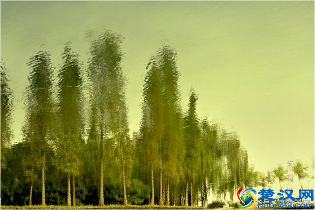 独善其身,人间正道是沧桑