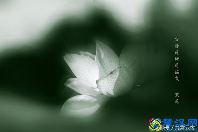 独善其身,人间正道是沧桑