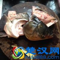 家常菜--鱼头汤的做法步骤