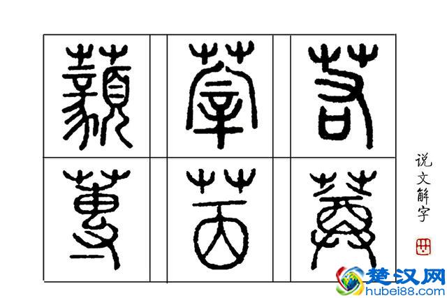 成语“望洋兴叹”典故里，“望洋向若而叹”，“若”是什么？