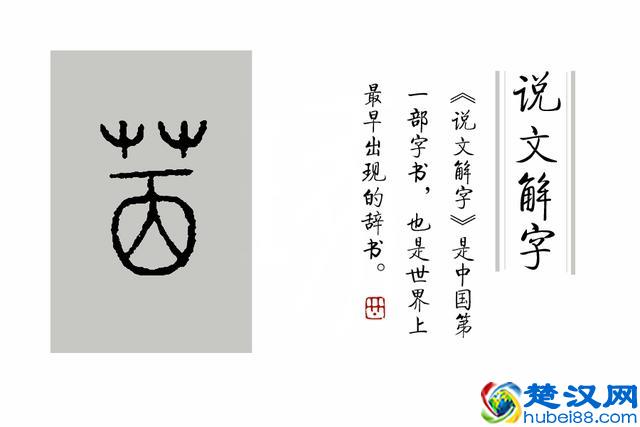 成语“望洋兴叹”典故里，“望洋向若而叹”，“若”是什么？