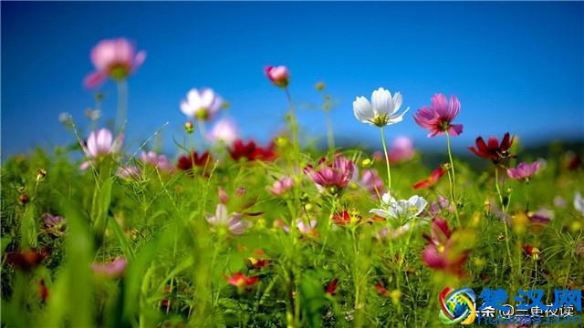 路遥知马力，日久见人心