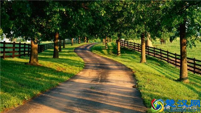 路遥知马力，日久见人心