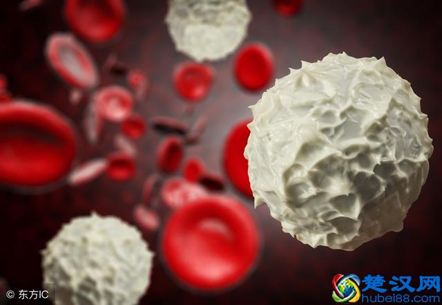 火疖子很常见，也许你就是受害者之一，赶紧看看怎么处理